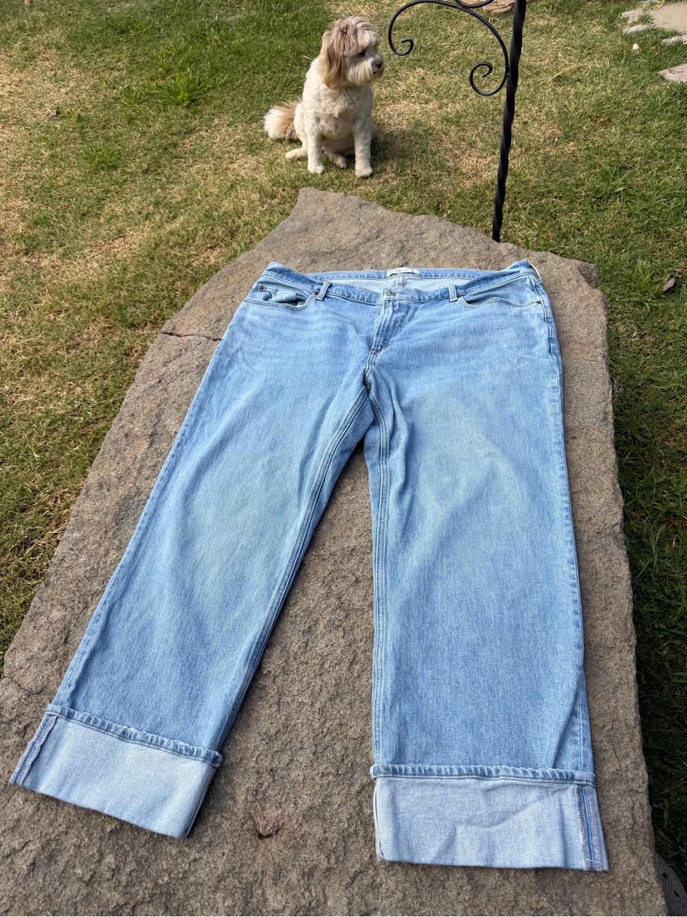 Abercrombie & Fitch The Baggy Low Rise Jeans Light Wash Cuffed Wide Leg 34 18S